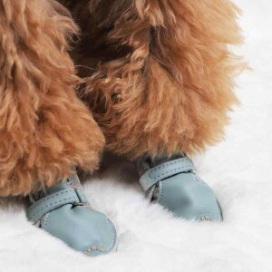  C hbOV[Y tbg Rbg y ~ g 킢 Oop JWA O[ u[