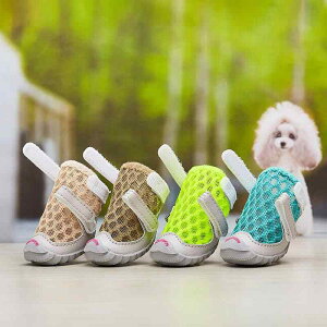  C hbOV[Y 킢 h~ \tg\[  ʋC ~ ^ u[ O[ p[v