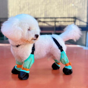  C hbOV[Y ho pc Oop Jo[ Cu[c h~ ~ h IW sN p[v