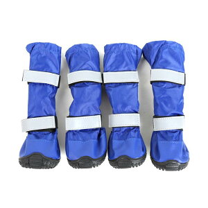  C hbOV[Y ^ ^ Cu[c h ~ ϖ ybg JWA nCJbg ubN u[ bh