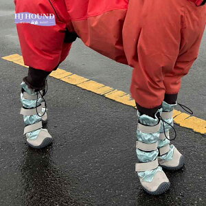  C hbOV[Y AEghA ~ h ]|h~ ^ Jo[ u[ sN ubN