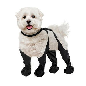  C hbOV[Y Cu[c ϖ Eɂ AEghA ^ ^ ^ ~ h~ h Jo[ ubN