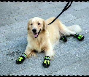  C hbOV[Y  h ϗ bV _炩 \[ ʋC ubN bh u[