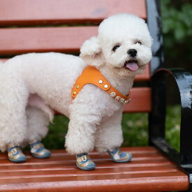 犬 靴 ドッグシューズ 春夏 かわいい ペット 小型犬 通気性 ソフトソール 脱げにくい ブルー グリーン パープル