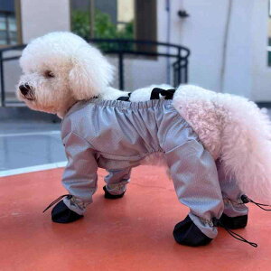  C hbOV[Y ^ ^ Op h I[o[I[ 킢 WvX[c ubN u[ CG[