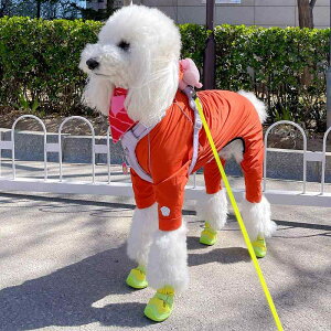  C hbOV[Y ybg 킢 U Eɂ h ^ JWA p[v O[ IW