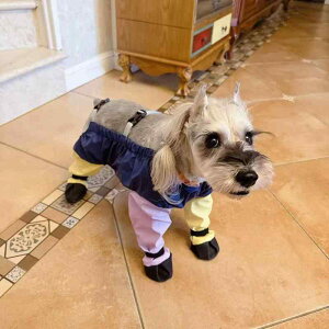  C hbOV[Y ^ ^ Op h I[o[I[ 킢 WvX[c h bh u| CG[