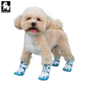  C hbOV[Y 킢 ybg J΍ ^  Jo[ h J[L bh ubN