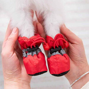  C hbOV[Y t ~ h~ \tg\[ 킢 ybg L tbgJo[ bh ubN sN