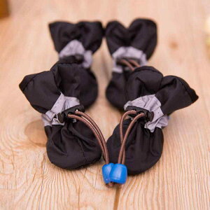  C hbOV[Y 킢 I[V[Y \tg\[ Eɂ ybg ^ h~ t bh u[ ubN