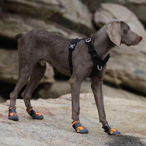  C hbOV[Y ybg ^ h h u[c ~ Eɂ IW ubN