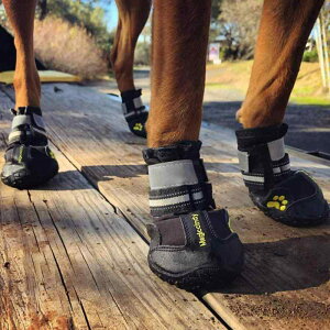  C hbOV[Y ybg AEghA ϖ ~ Cu[c ^ ^ ^ Xm[V[Y ubN bh