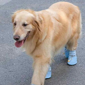  C hbOV[Y ~ Eɂ _炩 h h~ ^ ^ xxbg Xm[u[c F ubN