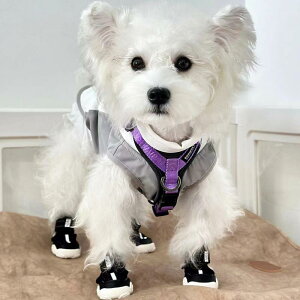  C hbOV[Y ^ ^ V[gpC ʋC ~ ]|h~ Eɂ JWA ubN