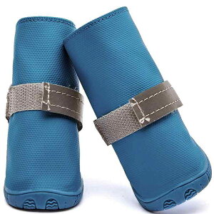  C hbOV[Y Cu[c ^ I[V[Y h 킢 JWA bh O[ u[