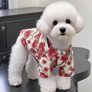 ybg Lp ^ q tėp  ڐG⊴ xXg Ăh~ Vc UV΍ p[X Rbg K  JWAEFA U i |bvȕ 킢CXg