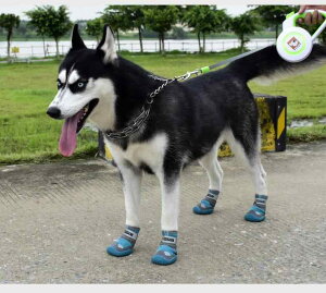  C hbOV[Y H~ h ~ Os Jo[ ^ ^ u[ IW sN