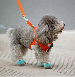  C hbOV[Y 킢 ybg ^ ^  O ʋC T_ Eɂ h~ tbgJo[ F O[ p[v