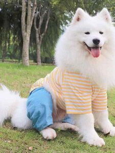 hbOEFA ^ TGh uh[ S[fgo[ ėp   XgCv lr I[C Jo[I[ |GXe fj XgCv ԔXg