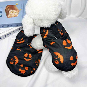  nEB ybgp ΂ J[gD[ xXg ^Ngbv  y ʋC z [hz[t ^ ^ rVt[[ |jA |GXe JW