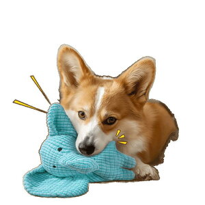 p ^ ^ q J v ݂ XgX ^s  V Pp ABSf ϋv