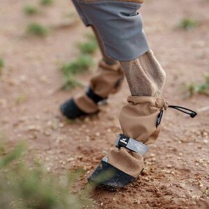  C hbOV[Y ybg AEghA Jo[ ~ y h ubN sN J[L