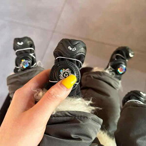  C hbOV[Y ybg _炩 킢 t ~ h~ Jo[ ubN u[ IW