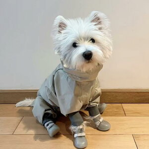  C hbOV[Y I[V[Y Cu[c h ~ 킢 ^ AEghA h~ u[ p[v O[