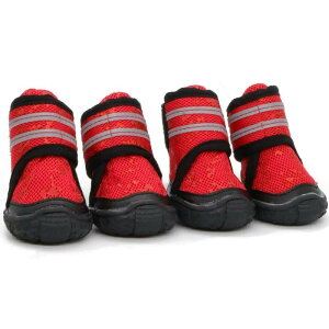  C hbOV[Y t ^ ^ EH[LO ϖ ʋC ~ bh O[ O[