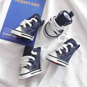  C hbOV[Y LoX fj JWA H~ h ~ 킢 ybg u[