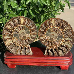 u VR }_KXJ AiCg  XCX L 2g    i CeA  IuWF fBXvC RNV _ Mtg LOi