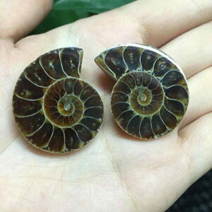  }_KXJY L AiCg XCX f  W{ Ð RNV VRf  wKp fBXvC Ϗܗp yA eTCY