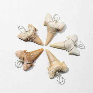 y_g VR bR Y L̎ Cm W{ ⎅ ҂ } j[NfUC AiCg RN^[YACe Y fB[X ig