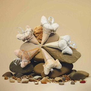 lbNX VRAiCg  bR T̎ nhCh Vo[C[ Cm W{ y_ggbv 󏭂Ȉ_ RNV j[N 