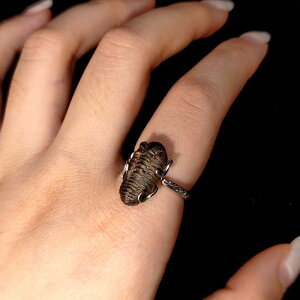 w jZbNX jp VR Ot AiCg  925Vo[ I IWifUC _ Vv s` i`tH ig fC[[X Mtg v[