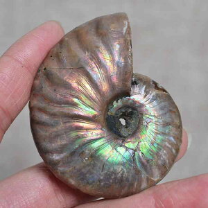 AiCg  VR F L W{ VR  |bV  IuWF u CeA  Vzj LOi RNV