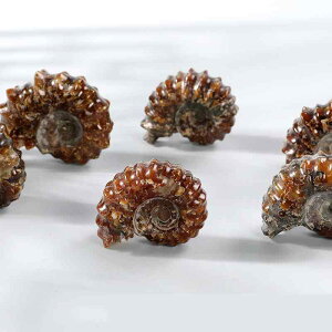 Ð VR AiCg L W{  p wKp  RNV ӏܗp p CeA IuWF  Ԍn bh