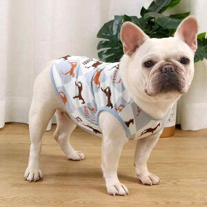 pxXg t`uhbO uhbO pO ėp   Rbg LN^[ Aj} ʋC y KȒSn ۂ茢 Z hbOEFA ybg U ig