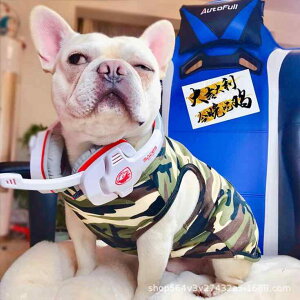  hbOEFA t`uhbO uhbO pO AJu[ xXg ^Ngbv ĕ  y ʋC   Rbg X[p[} CI ʕ JWA 