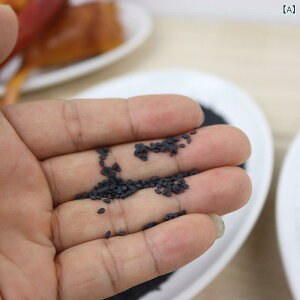 ゴマ 粒 食 游 白黒 粒 DIY 瓶 充填 材 食品 模型 道具 置物 家庭 装飾