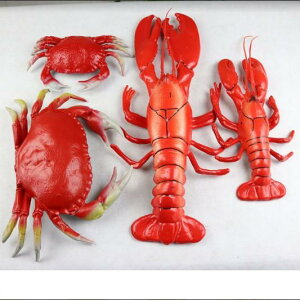 ͌^ A tFCN uX^[ Jj vX`bN ^ I Bep fBXvC CeA  u wi  ANAE 