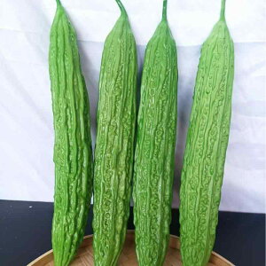 HiTv tFCN S[ iX LE w`} PU ͌^ A I Bep X܃fBXvC V[EBhE CeAIuWF