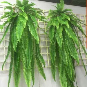 lHϗtA tFCNO[ {Xgt@ Ǌ| V_ O^Cv 呩 AȎ {[_ W[t EH[O[ CeAO[ eiXt[ ԉ