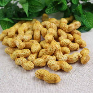 HiTv vX`bN tFCN s[ibc Ԑ   9 [ Be ʐ^Bep wi fBXvC CeA mߋ c  IuWF