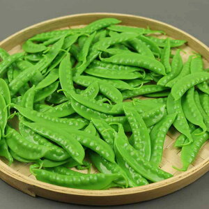 HiTv A  I_ GhE CQ G  fBXvC V[P[X Bep X܏Y IuWF u PVC