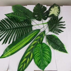 tFCNO[ Xe tBfh AJV t TCY A  EFfBO    t[AWg CeA fBXvC  Be 