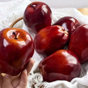 tFCNt[c ։ʂ A HiTv AX`[ y  CeA fBXvC  u IuWF Bep ʐp mߋ qp ԐF bh ƒp