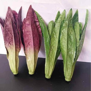 HiTv A  t  s^X PUf Lb` HX X܃fBXvC Be fR[V O[ p[v ϋv