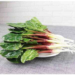 食品サンプル フェイク 野菜 フルーツ ほうれん草 ナス 模型 ディスプレイ ショーケース インテリア 知育 早期教育 オブジェ PU素材