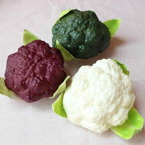 tFCN ubR[ PUf AG I ͑i HiTv fBXvC CeA Xܑ Be O[ zCg p[v